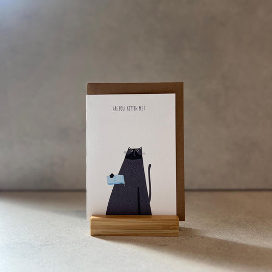 Are You Kitten Me?  Cute Cat Greeting Card