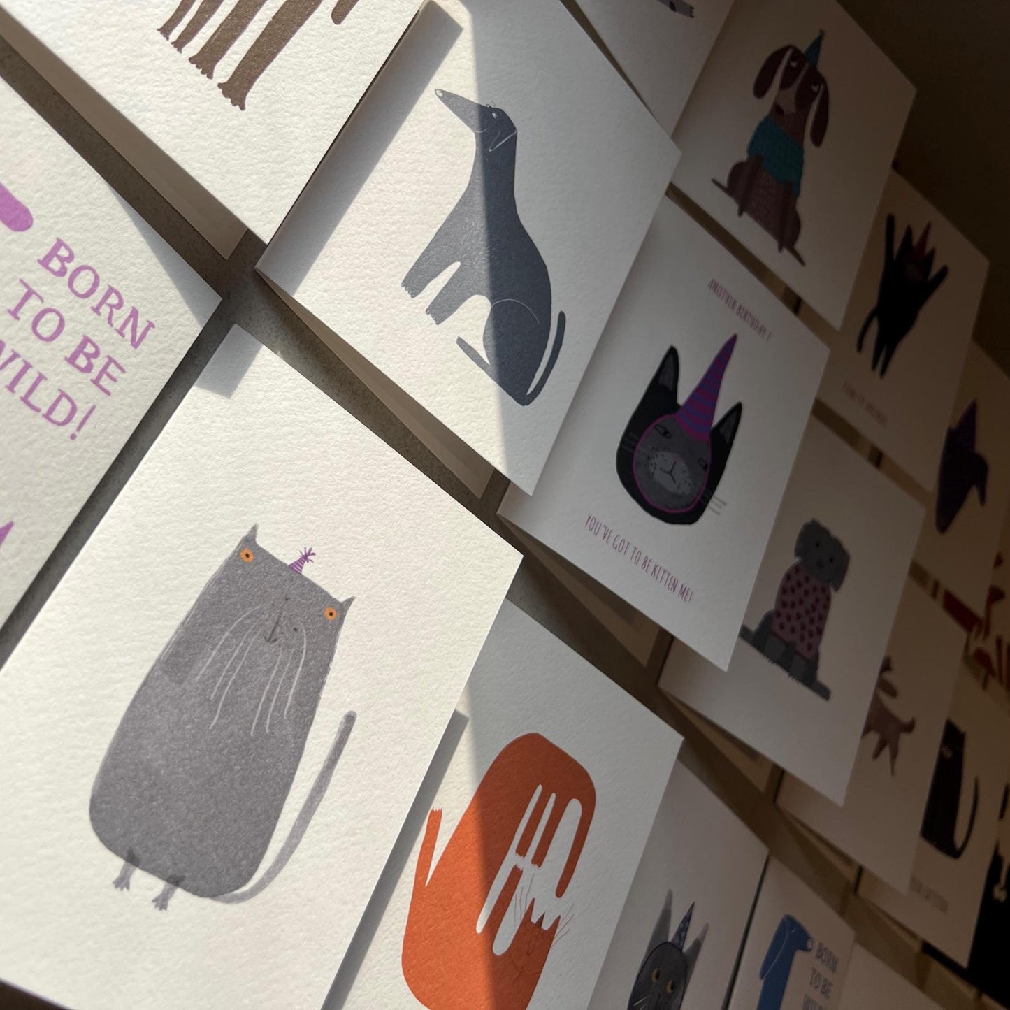 Let’s Stay Cozy Fur-Ever Cat Greeting Card