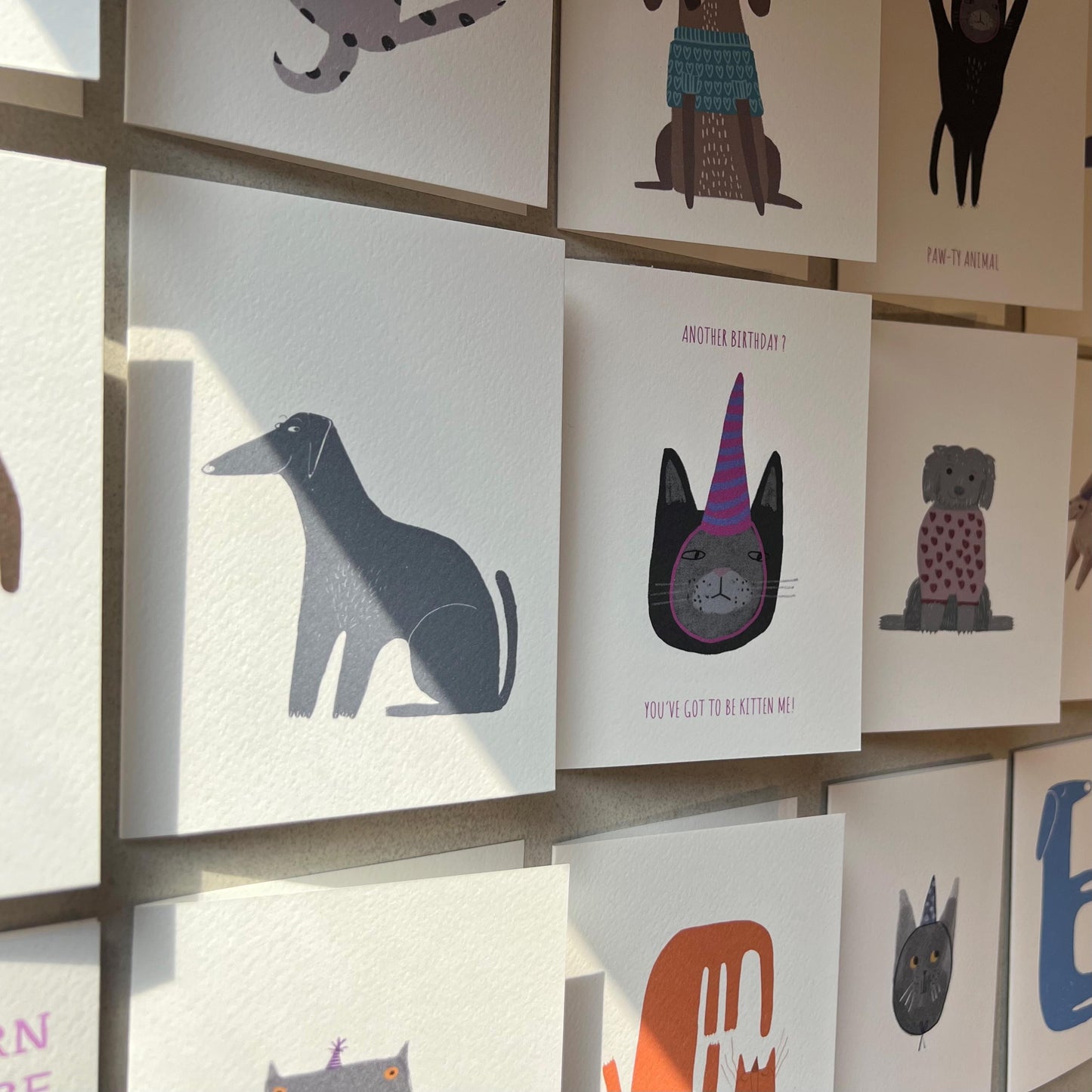 Funky Cat Birthday Greeting Card