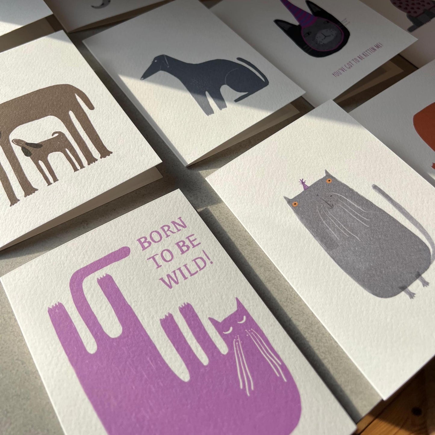 Tiny Party Hat  Dog Greeting Card